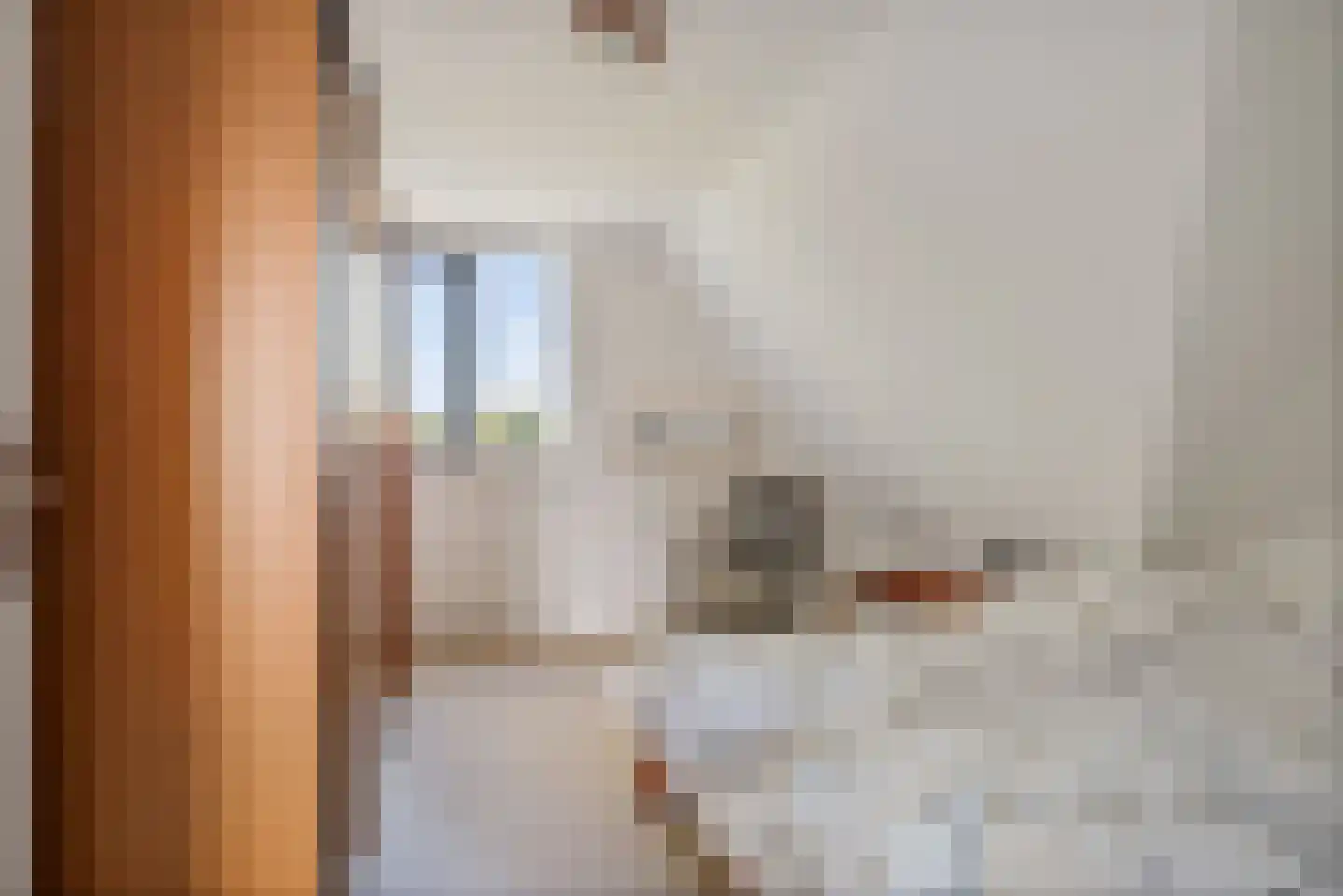 Vogelzwin 6 Sneek thumbnail 27