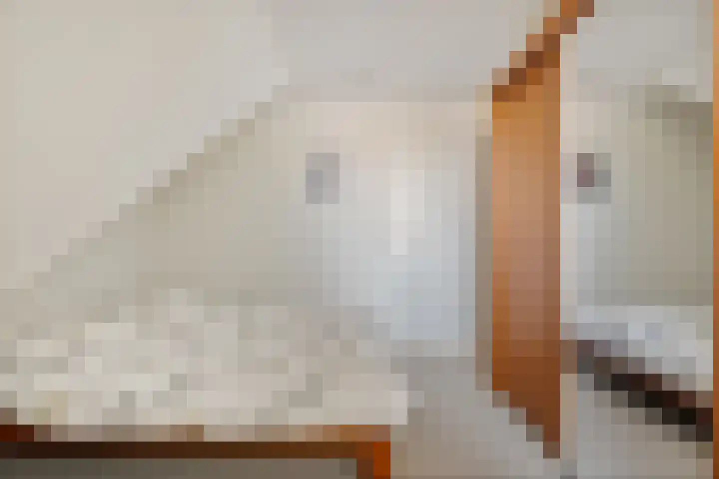 Vogelzwin 6 Sneek thumbnail 28