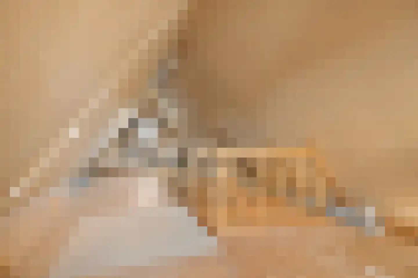 Vogelzwin 6 Sneek thumbnail 35