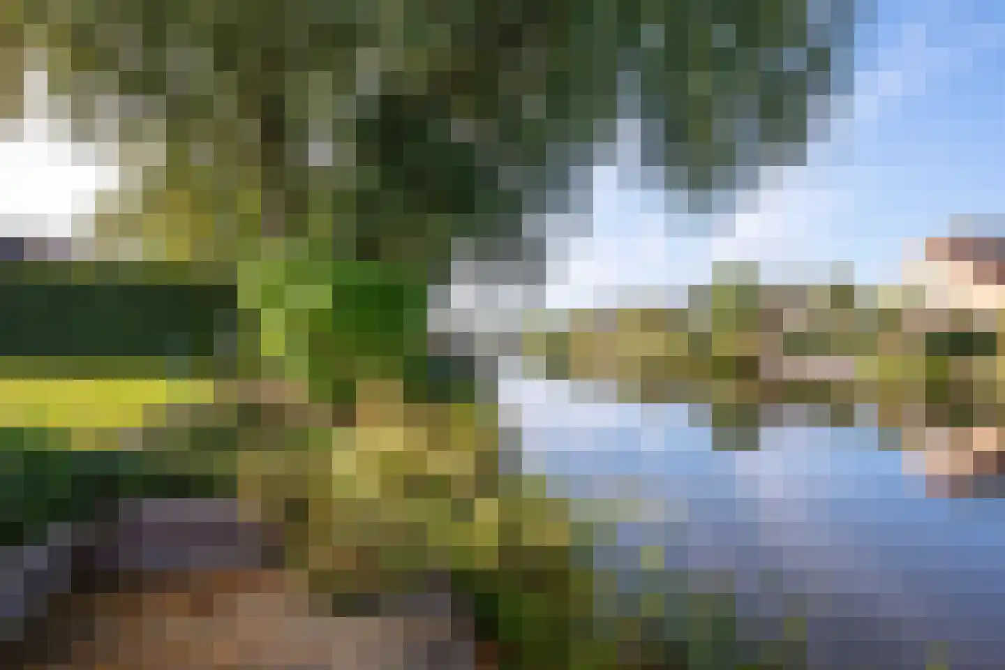 Vogelzwin 6 Sneek thumbnail 38