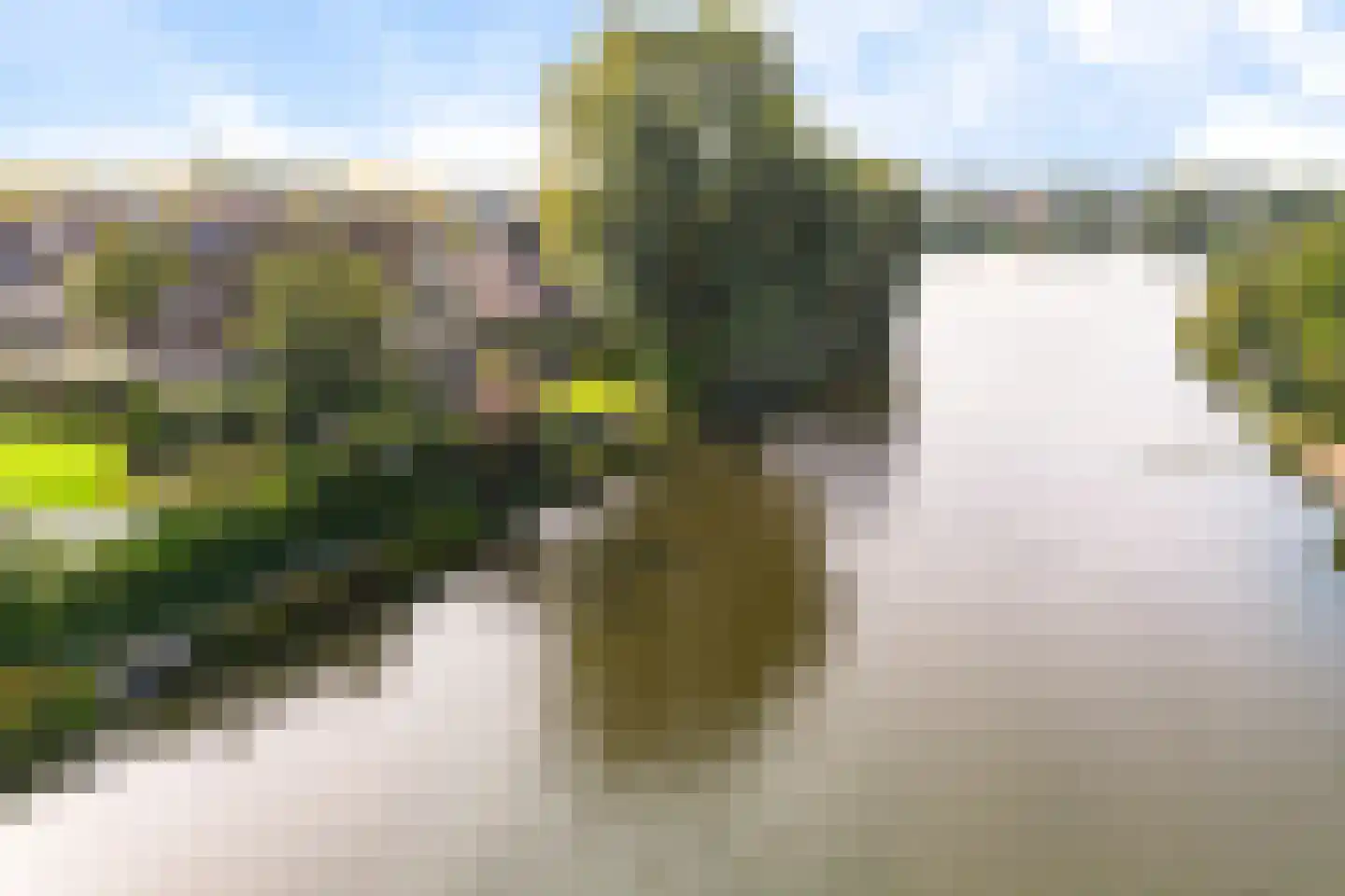 Vogelzwin 6 Sneek thumbnail 4