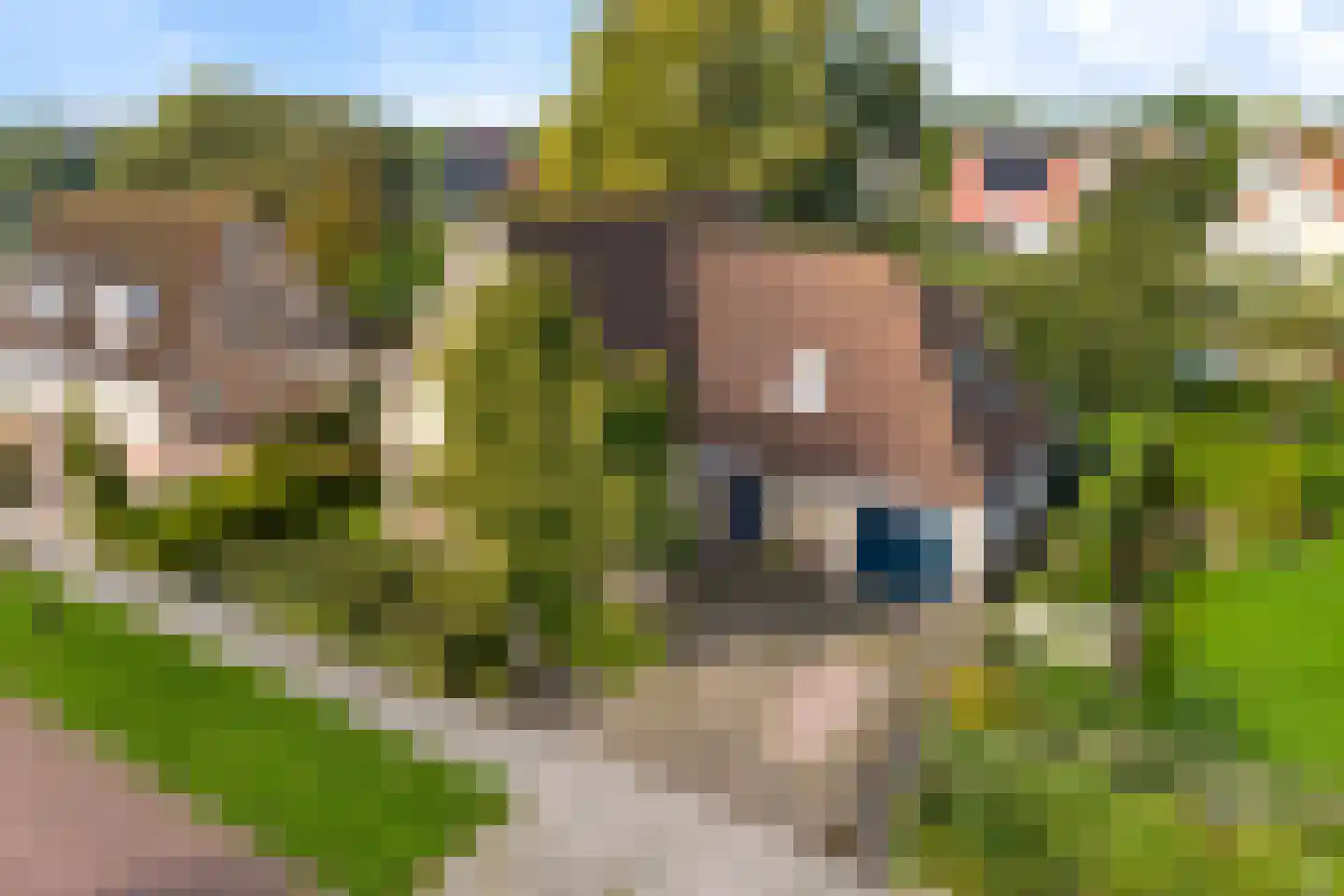 Vogelzwin 6 Sneek thumbnail 41