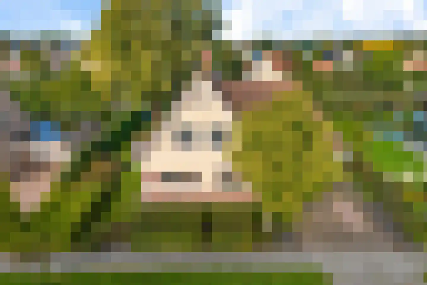 Vogelzwin 6 Sneek thumbnail 42