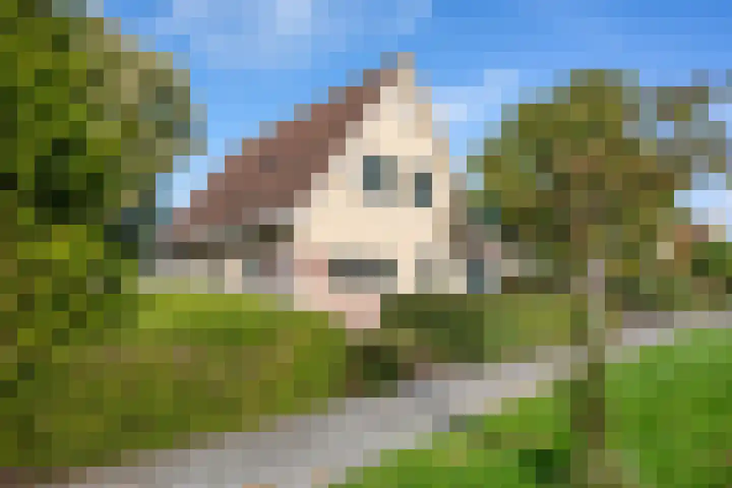 Vogelzwin 6 Sneek thumbnail 45