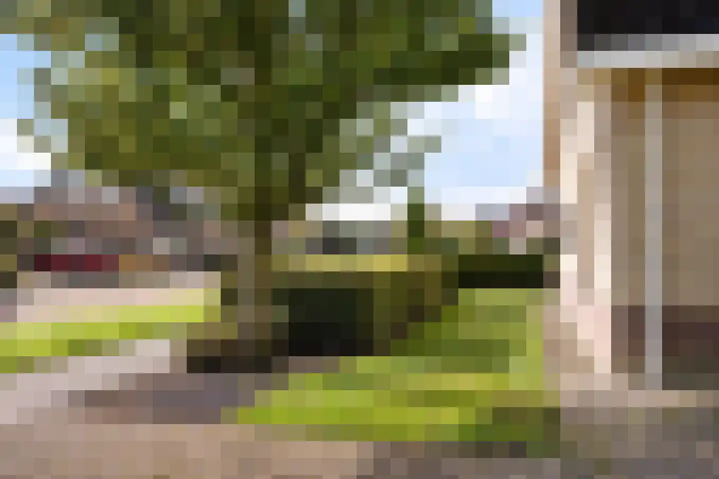 Vogelzwin 6 Sneek thumbnail 47