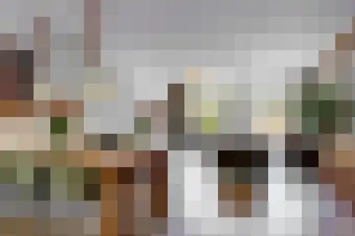 Vogezen 16 Utrecht thumbnail 11