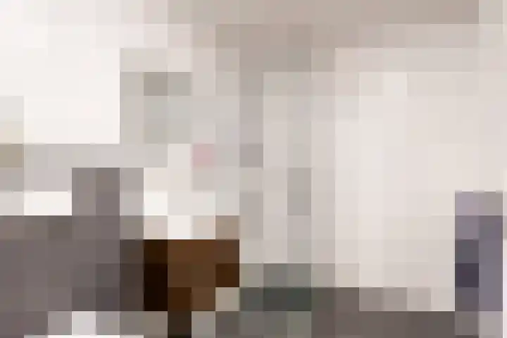 Vogezen 16 Utrecht thumbnail 18