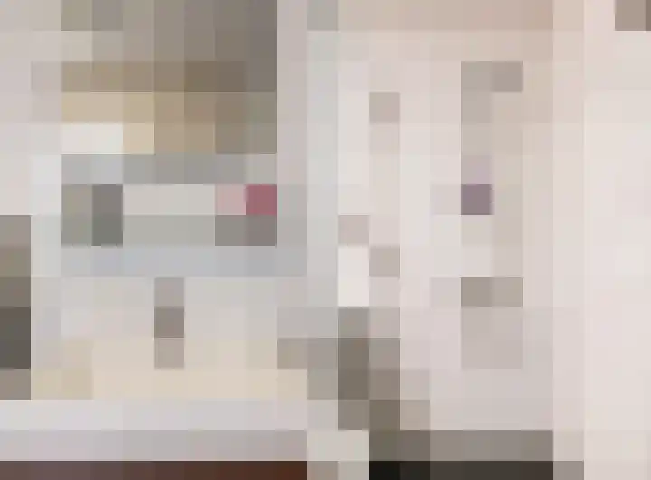 Vogezen 16 Utrecht thumbnail 20
