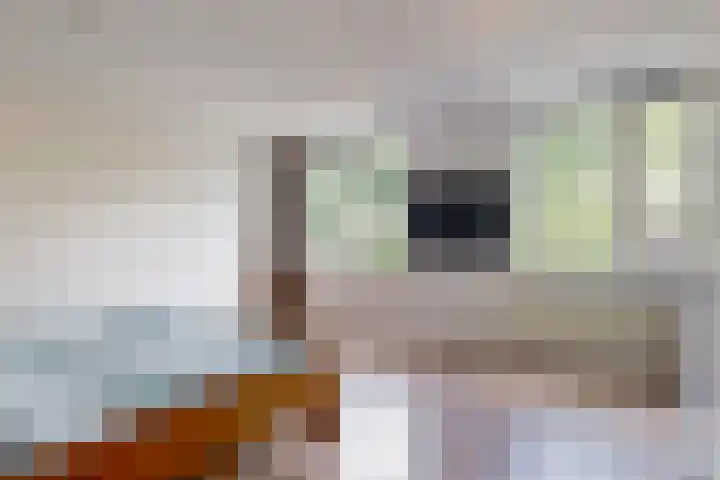 Vogezen 16 Utrecht thumbnail 21