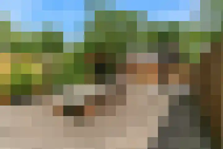 Vogezen 16 Utrecht thumbnail 32