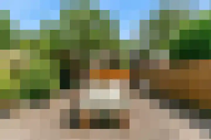 Vogezen 16 Utrecht thumbnail 33