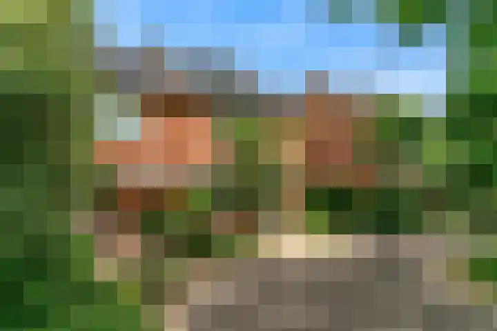 Vogezen 16 Utrecht thumbnail 37