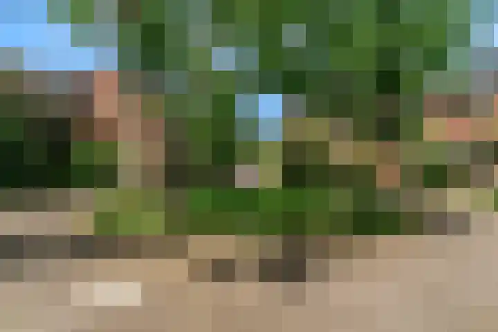 Vogezen 16 Utrecht thumbnail 38