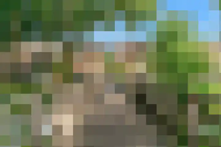 Vogezen 16 Utrecht thumbnail 39