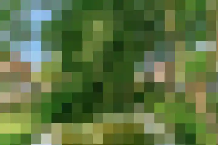 Vogezen 16 Utrecht thumbnail 40