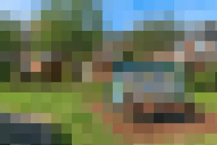 Vogezen 16 Utrecht thumbnail 41