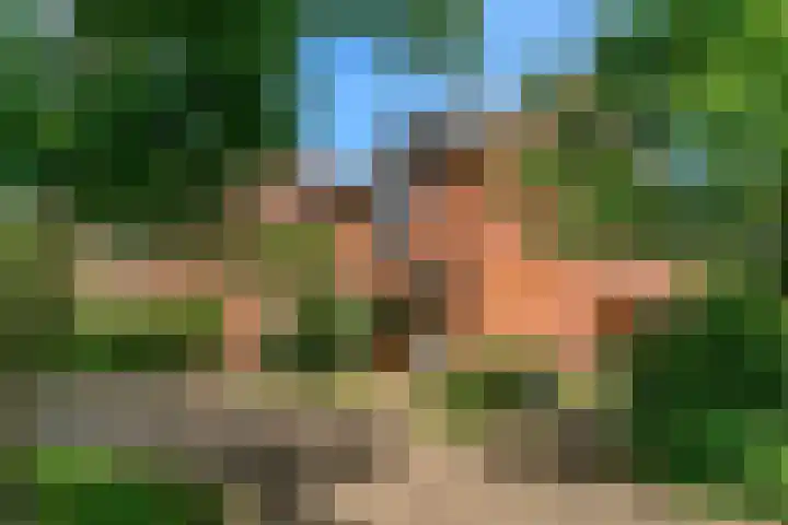 Vogezen 16 Utrecht thumbnail 48