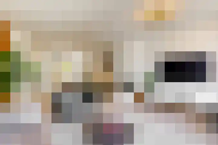 Vogezen 16 Utrecht thumbnail 7