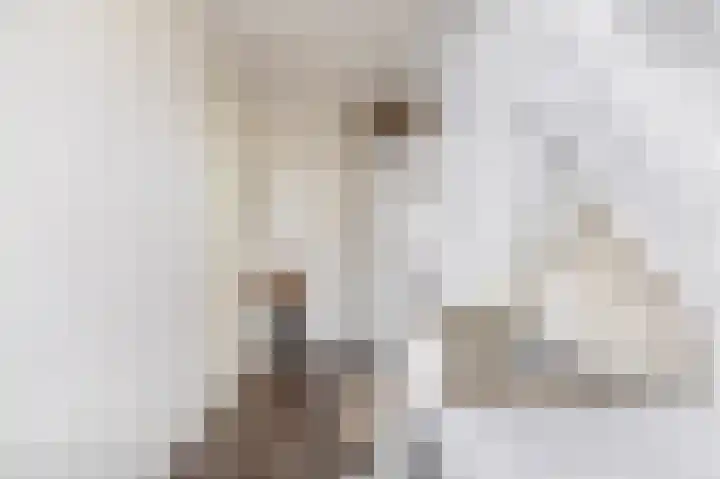 Vogezen 21 Assendelft thumbnail 18