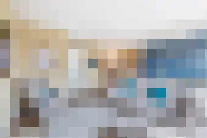 Vogezen 21 Assendelft foto 2
