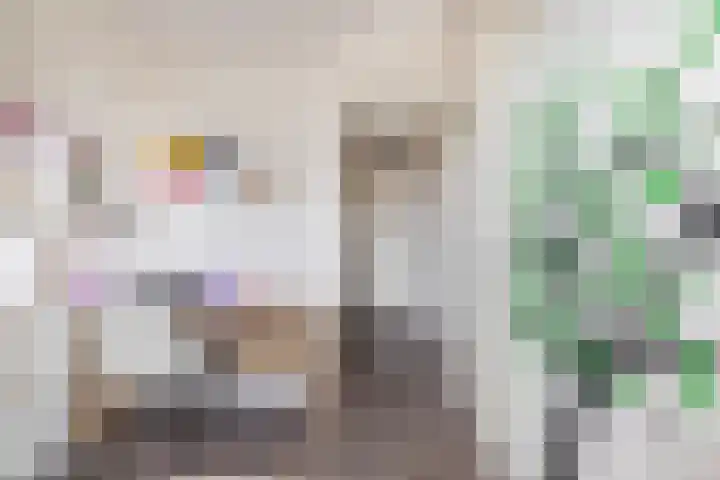 Vogezen 21 Assendelft thumbnail 20