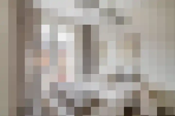 Vogezen 21 Assendelft thumbnail 21