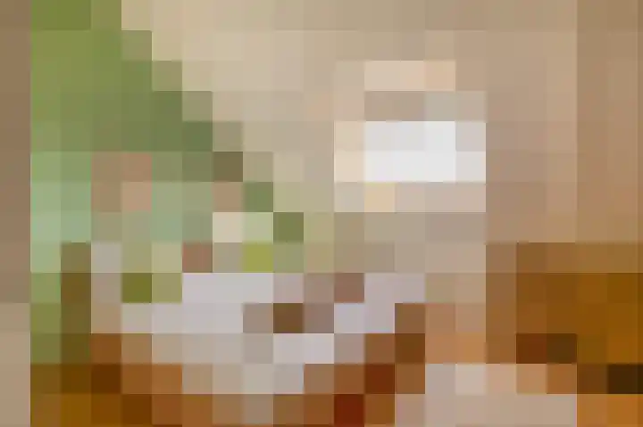 Vogezen 21 Assendelft foto 3