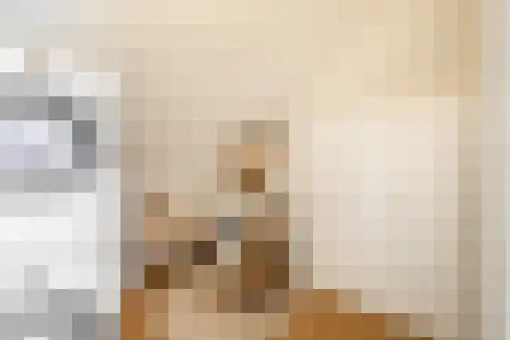 Vogezen 21 Assendelft thumbnail 30