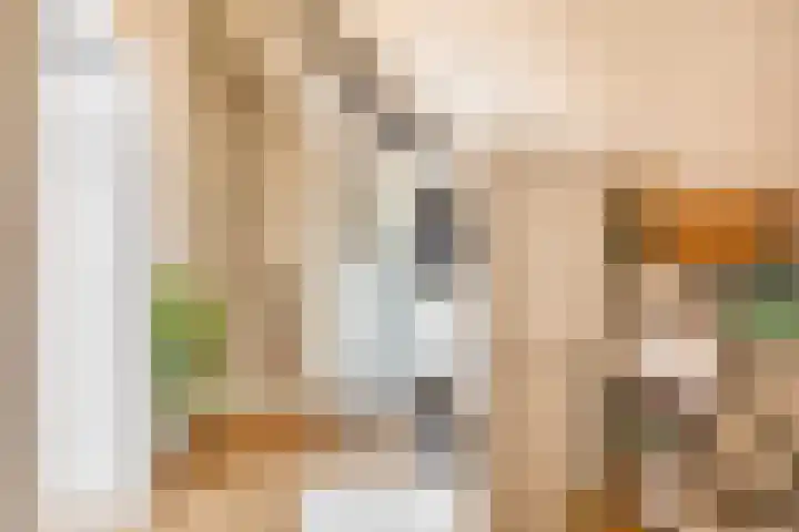 Vogezen 21 Assendelft thumbnail 31
