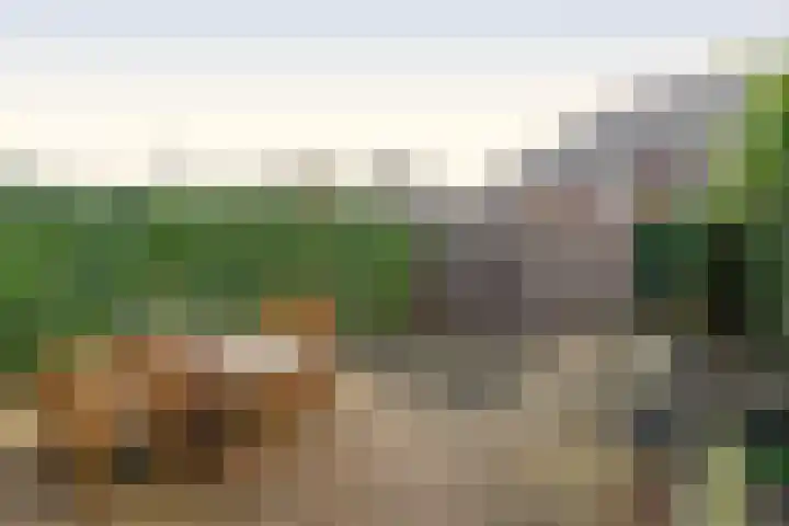 Vogezen 21 Assendelft thumbnail 34