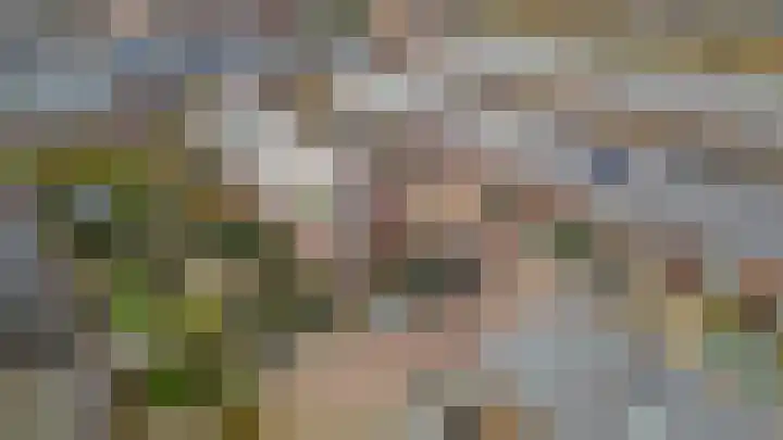 Vogezen 21 Assendelft thumbnail 38
