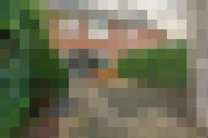 Vogezen 21 Assendelft thumbnail 4