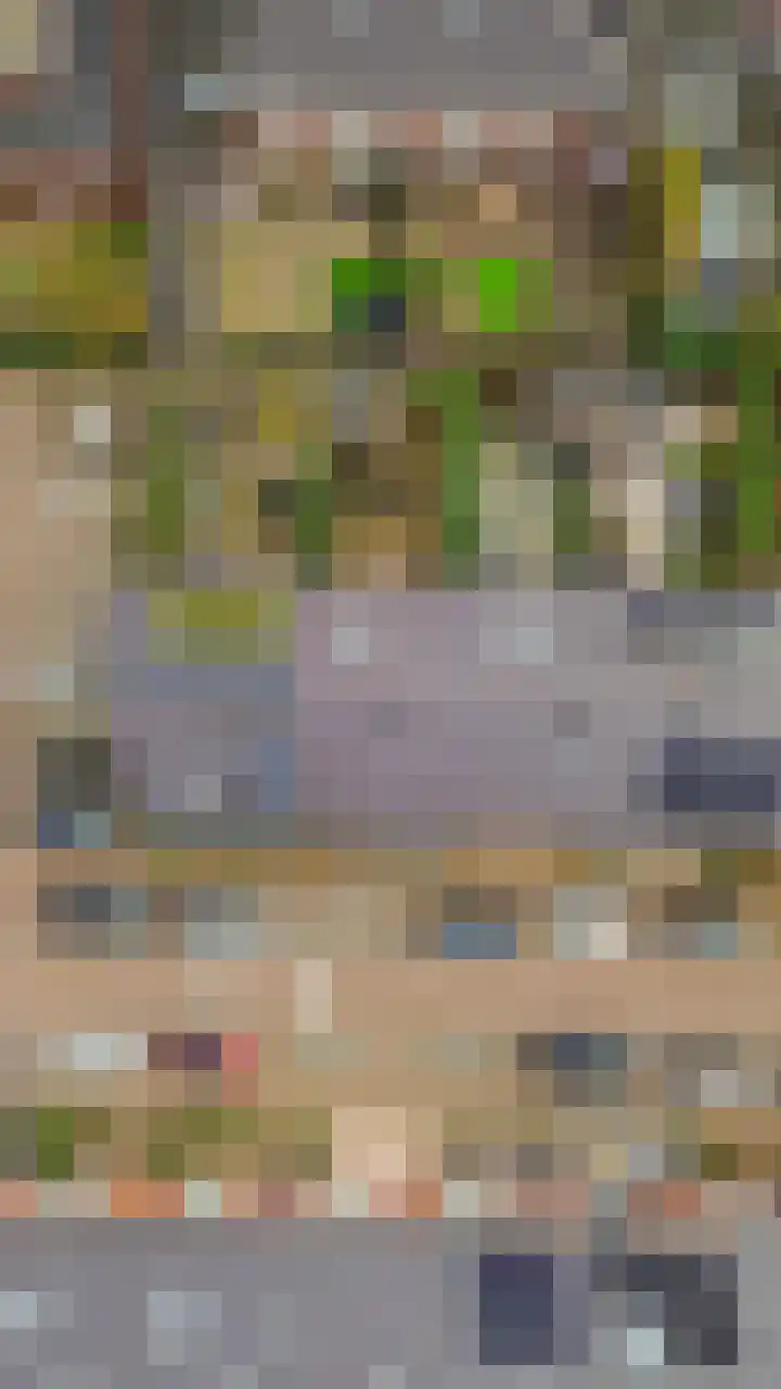 Vogezen 21 Assendelft thumbnail 40