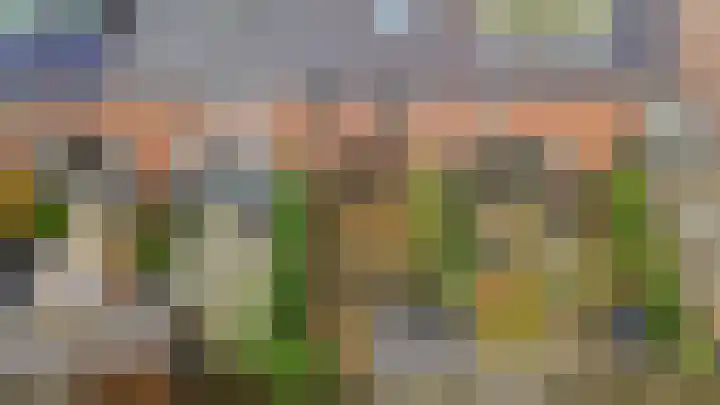 Vogezen 21 Assendelft thumbnail 41