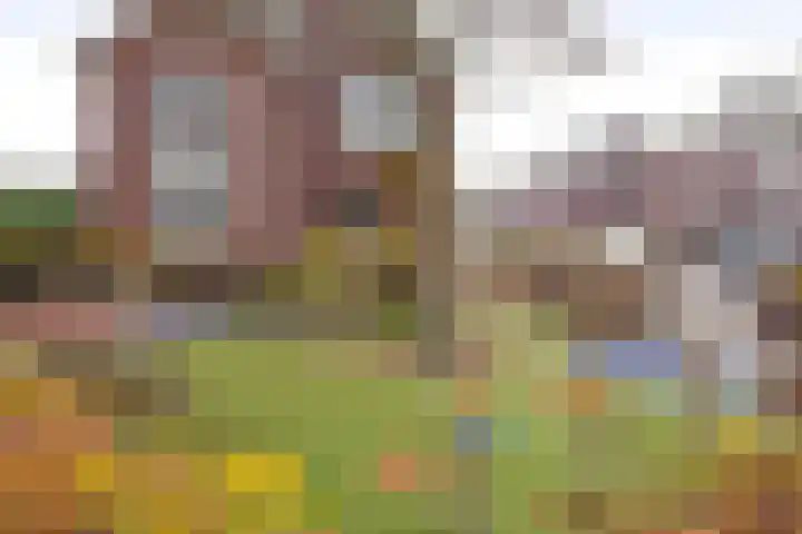 Vogezen 21 Assendelft thumbnail 43