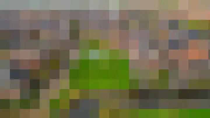 Vogezen 21 Assendelft thumbnail 44