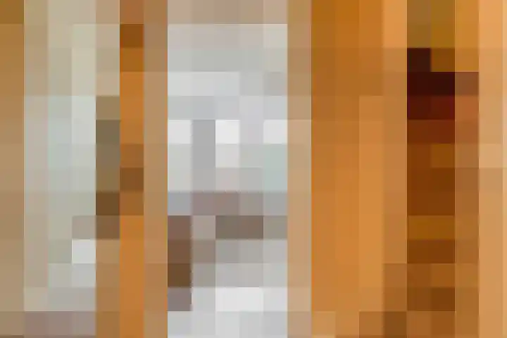 Vogezen 21 Assendelft thumbnail 6