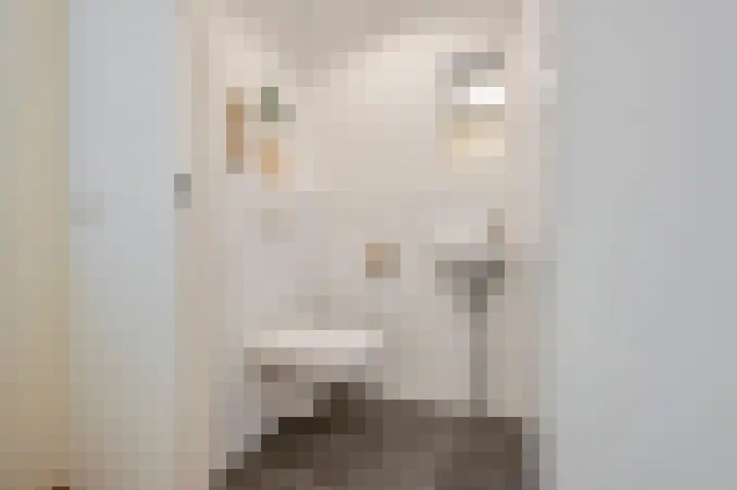 Vogezen 29 Assendelft thumbnail 15