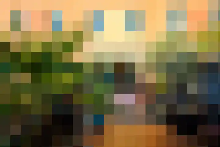 Vogezen 35 Doetinchem thumbnail 10