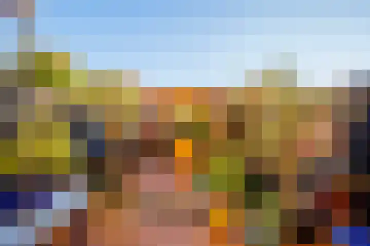 Vogezen 35 Doetinchem thumbnail 9
