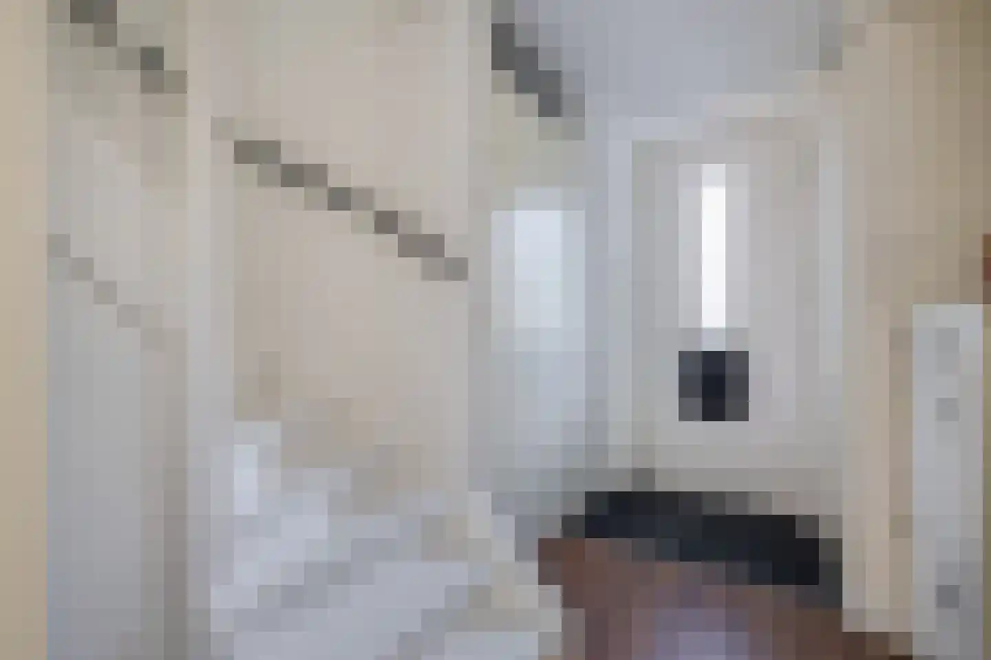 Vogezen 4 Assendelft thumbnail 13
