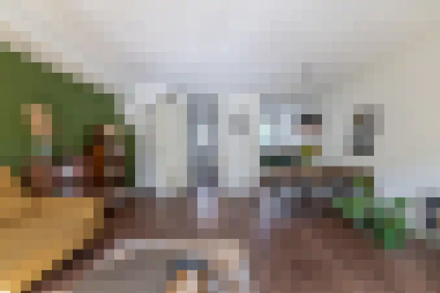 Vogezen 4 Assendelft thumbnail 19