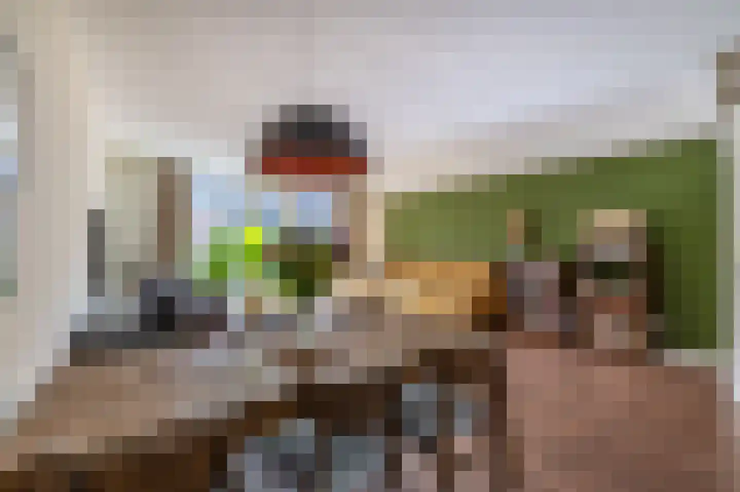 Vogezen 4 Assendelft thumbnail 20