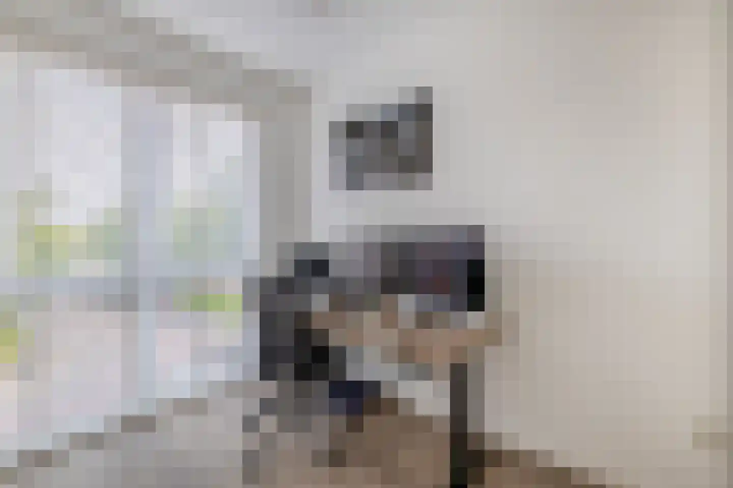 Vogezen 4 Assendelft thumbnail 32