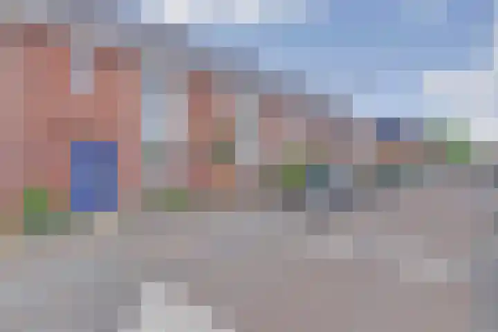 Vogezen 44 dans Assendelft