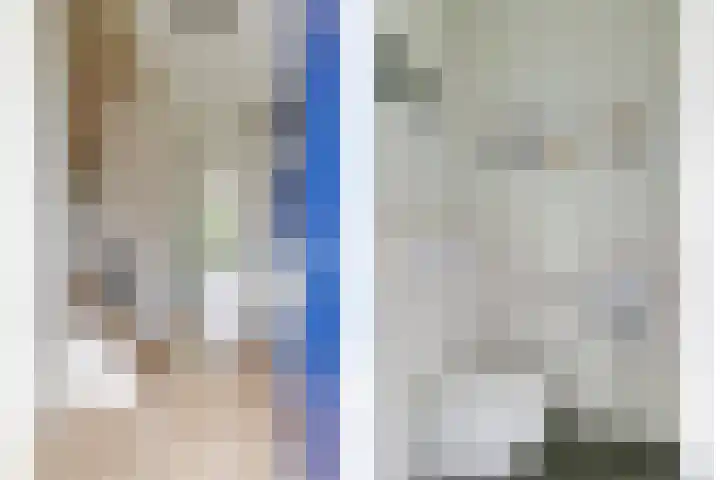 Vogezen 44 Assendelft thumbnail 10