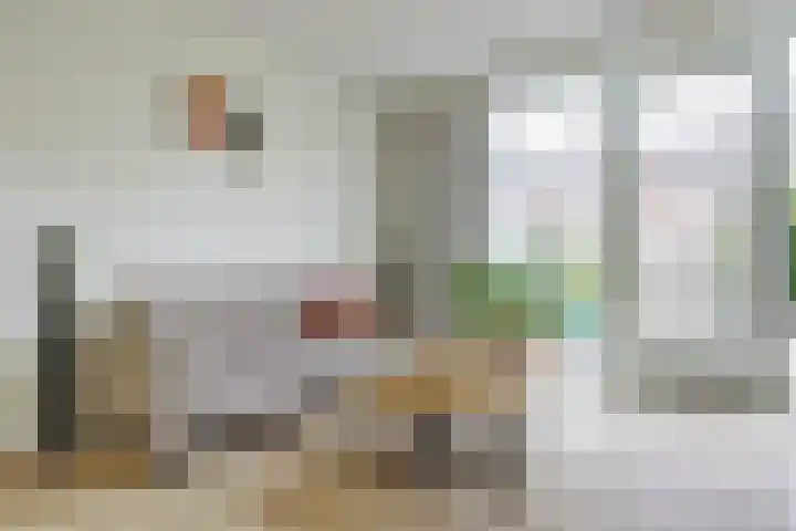 Vogezen 44 Assendelft thumbnail 11