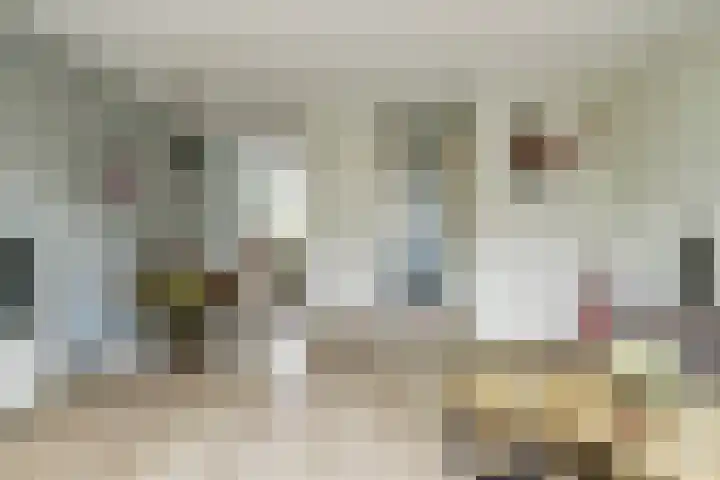 Vogezen 44 Assendelft thumbnail 13