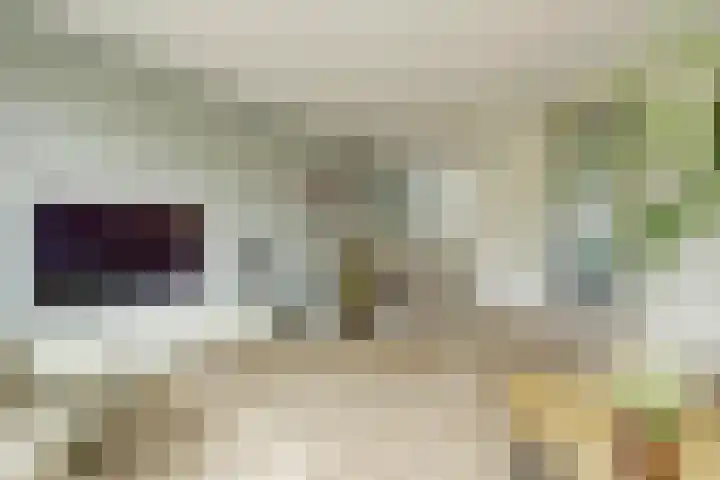 Vogezen 44 Assendelft thumbnail 14