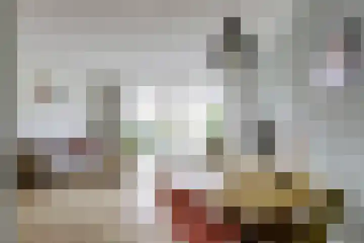 Vogezen 44 Assendelft thumbnail 16